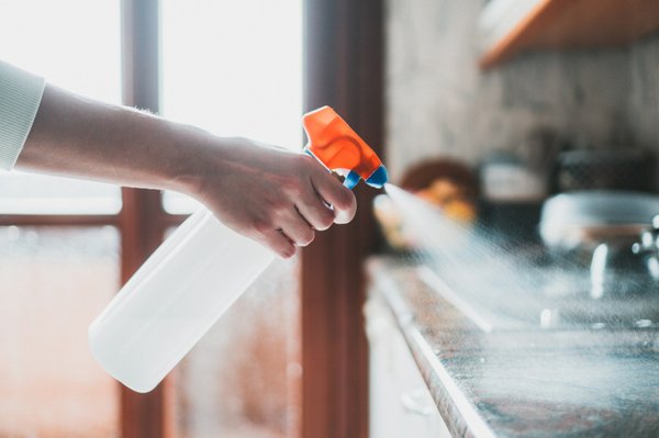 Désinfection des nuisibles à Toulouse : solutions efficaces à découvrir